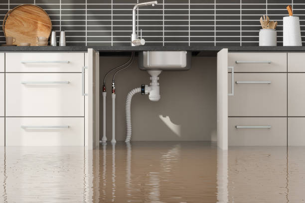 Best 24/7 water damage repair  in Reserve, LA